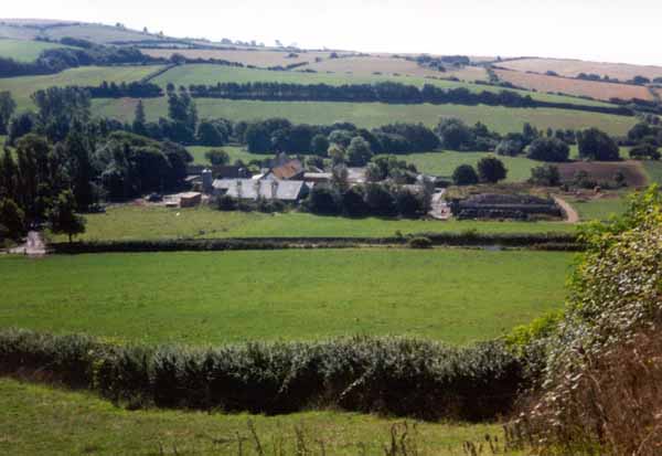 Farming in Burton Bradstock